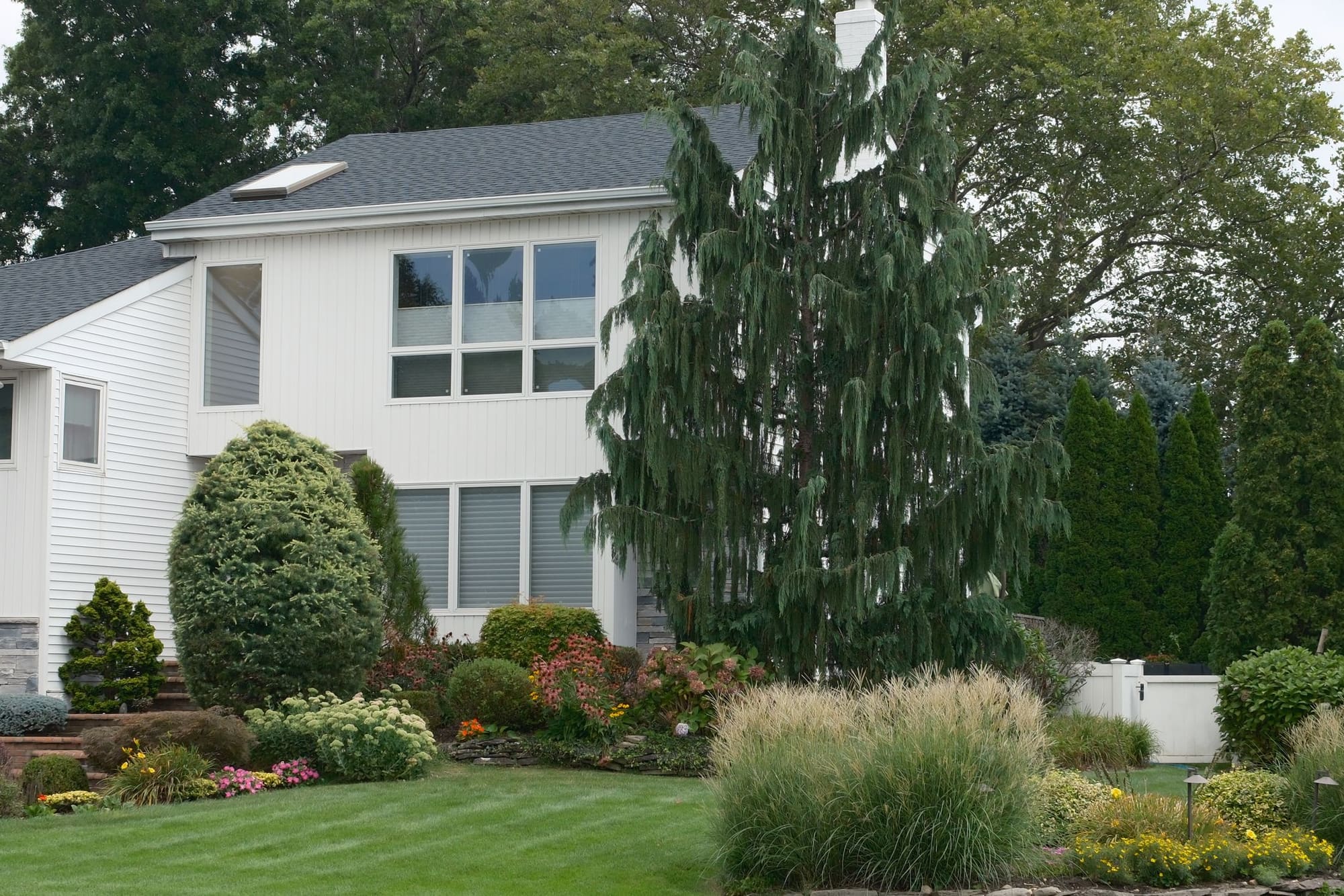 Modern white house with manicured landscaping and weeping willow tree